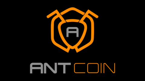 Ant Network App