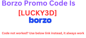 Borzo Promo Code